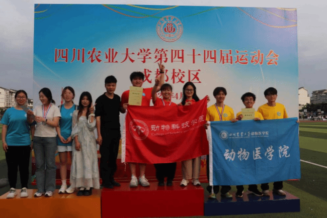 看球吧直播