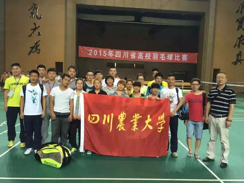 看球吧平台图片