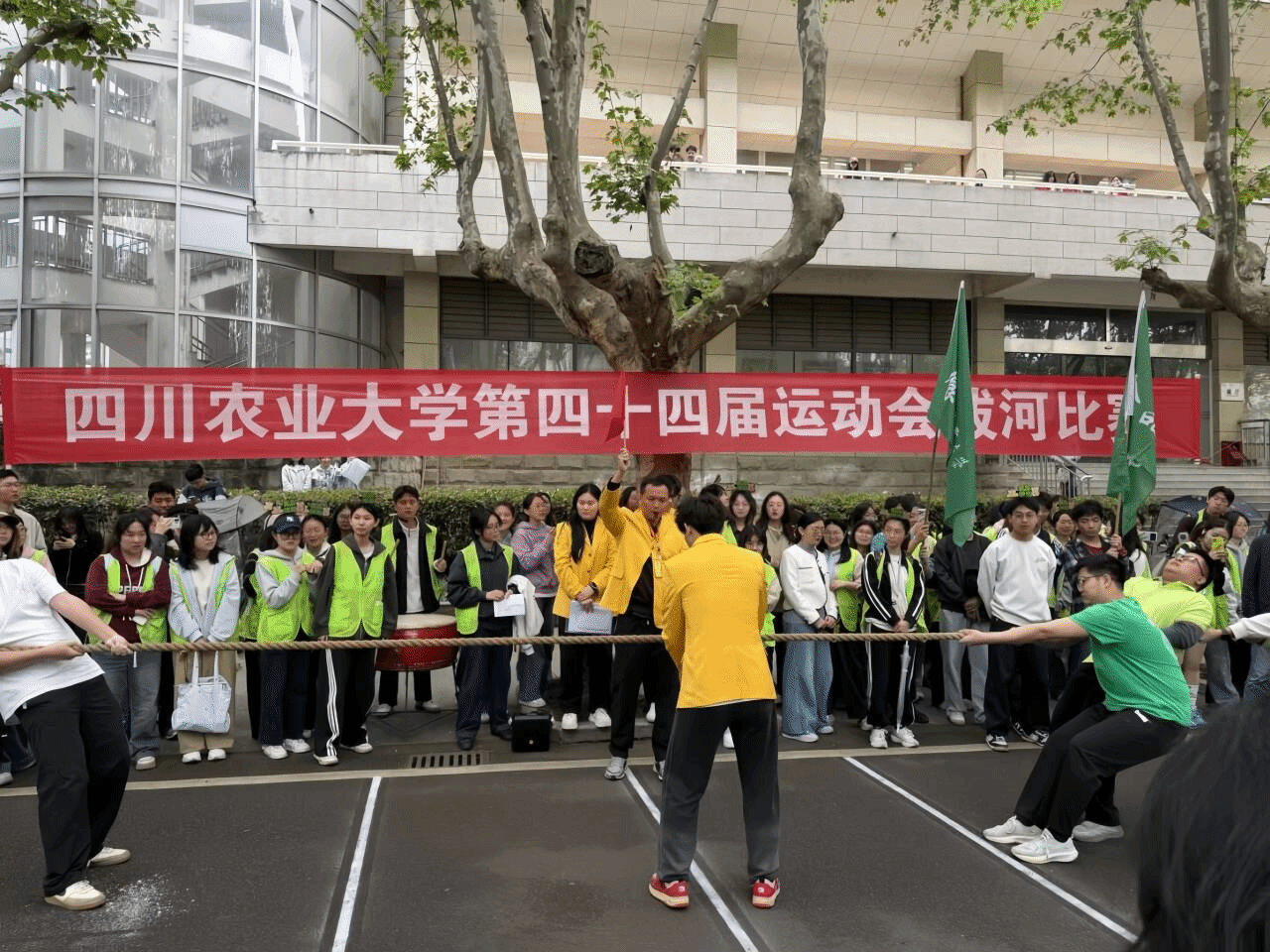 看球吧官方指定端