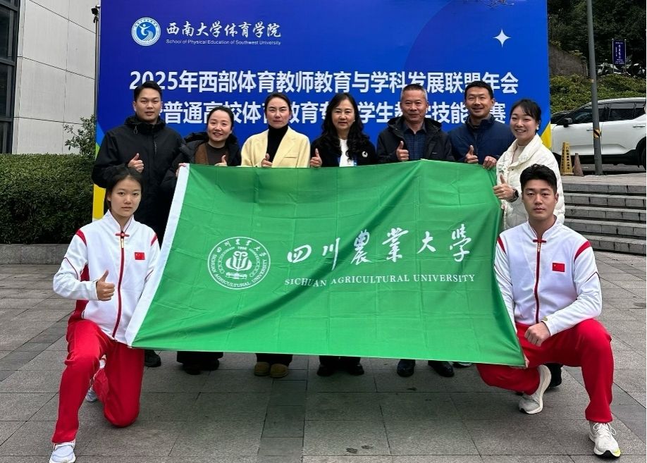 看球吧官方线路