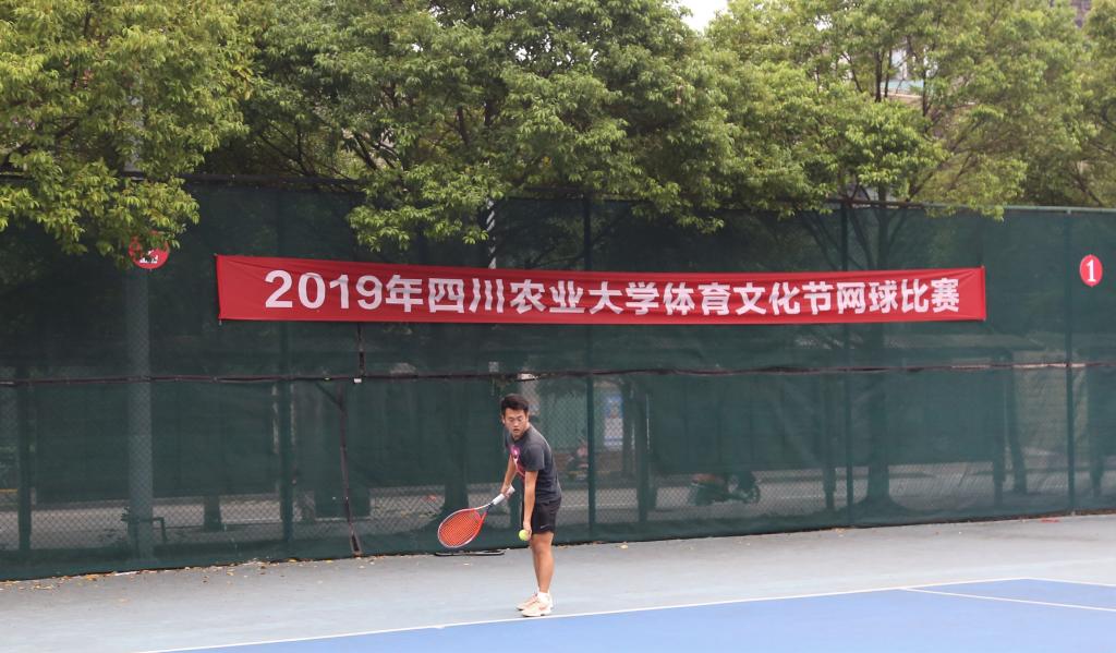 看球吧直播