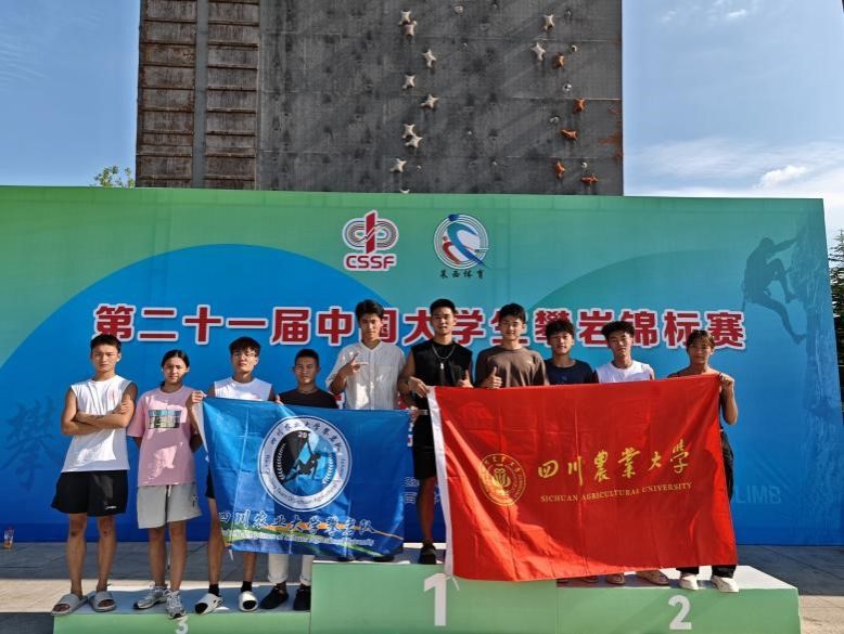看球吧稳定线路