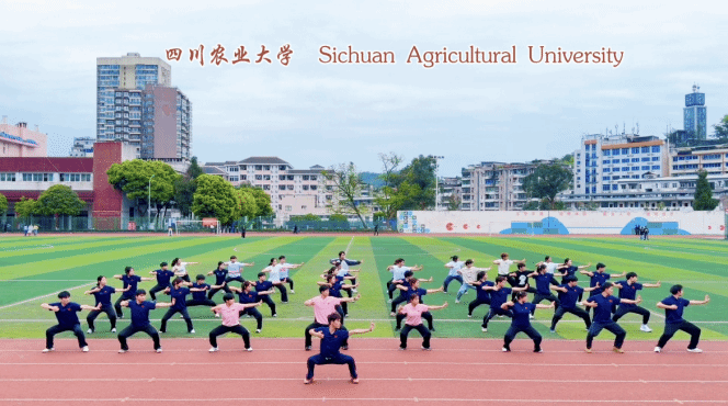 看球吧加速节点