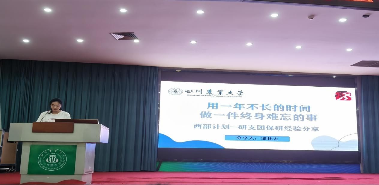 看球吧指定通道