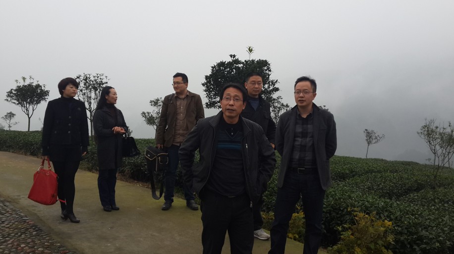 看球吧加速节点图片