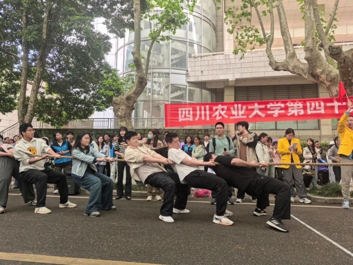 看球吧平台