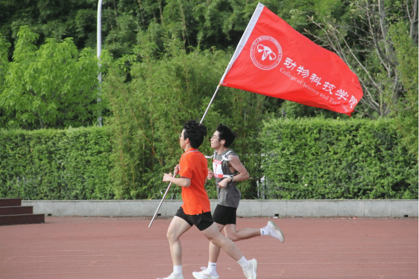 看球吧APP下载