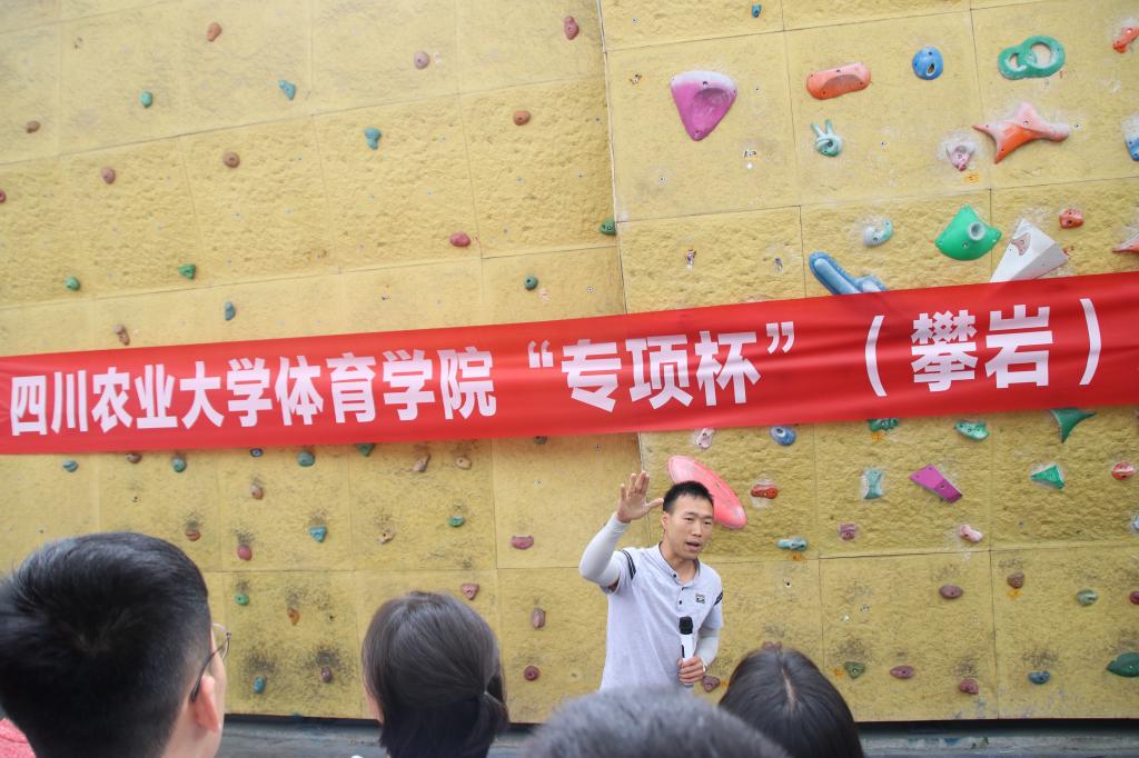 看球吧备用网址