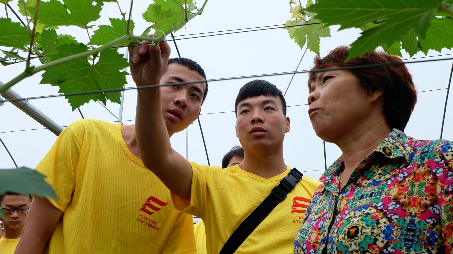看球吧加速节点图片