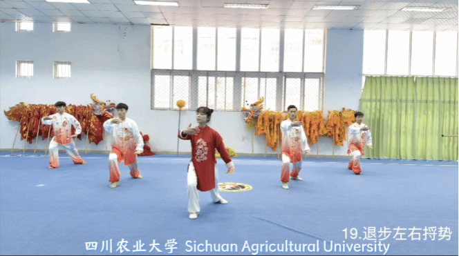 看球吧加速节点