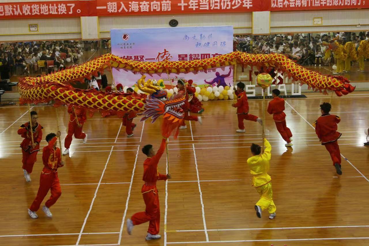 看球吧稳定线路