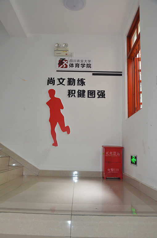 看球吧指定入口图片
