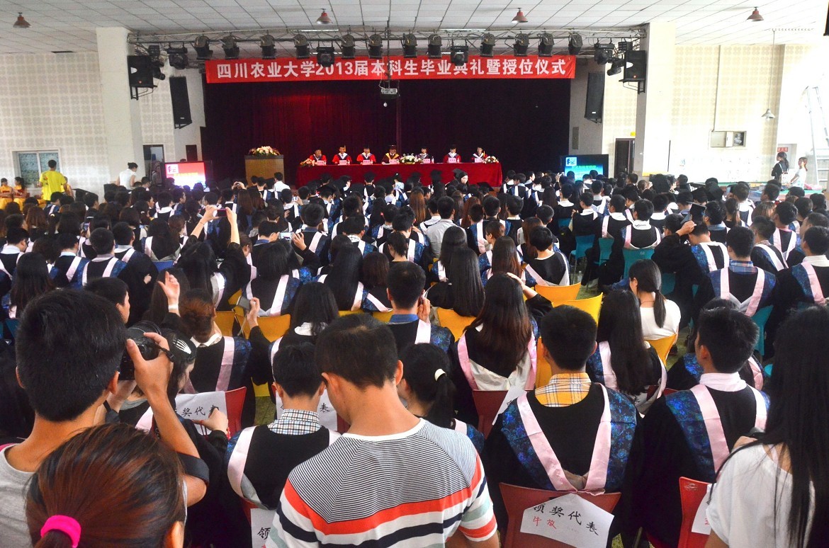 看球吧欧冠直播图片