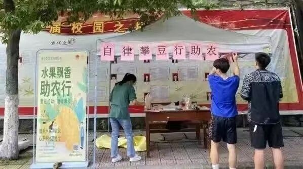 看球吧手机版