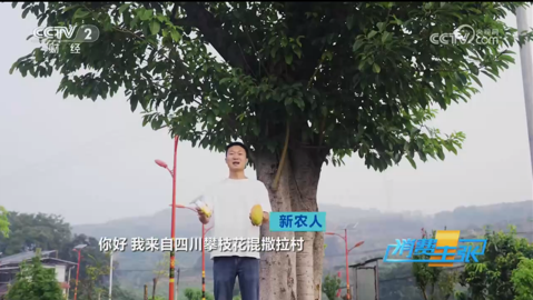 看球吧备用网址