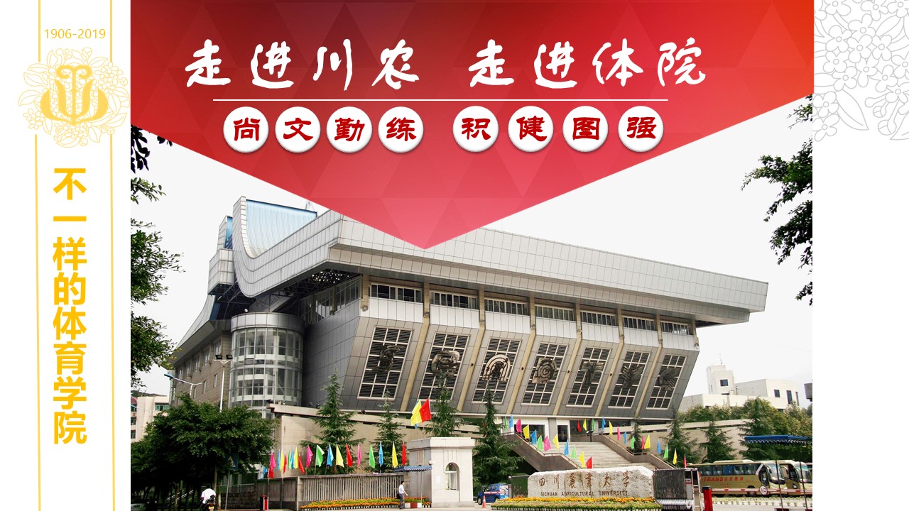 看球吧指定通道