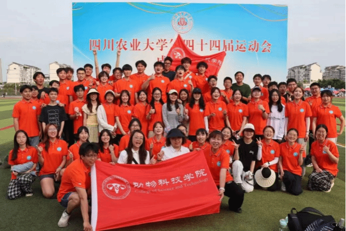 看球吧加速节点