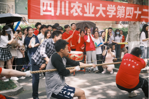 看球吧赛事快讯