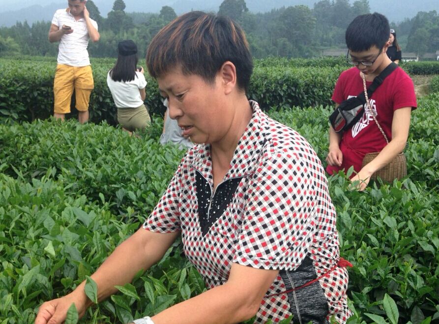 看球吧直播图片