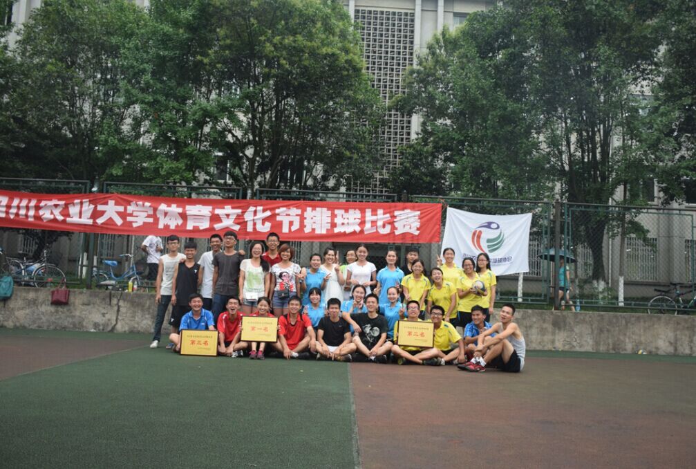 看球吧平台图片