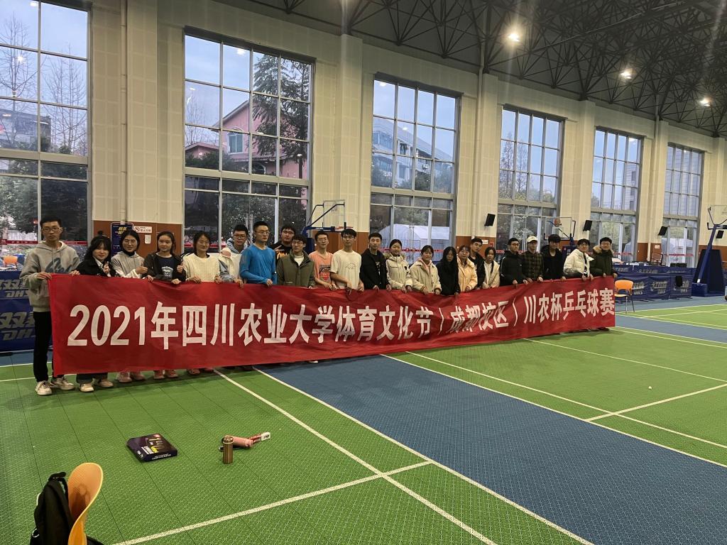 看球吧互联系统