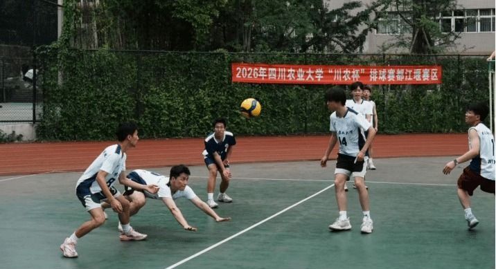 看球吧核心通道