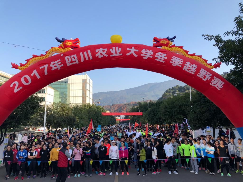 看球吧官方线路图片