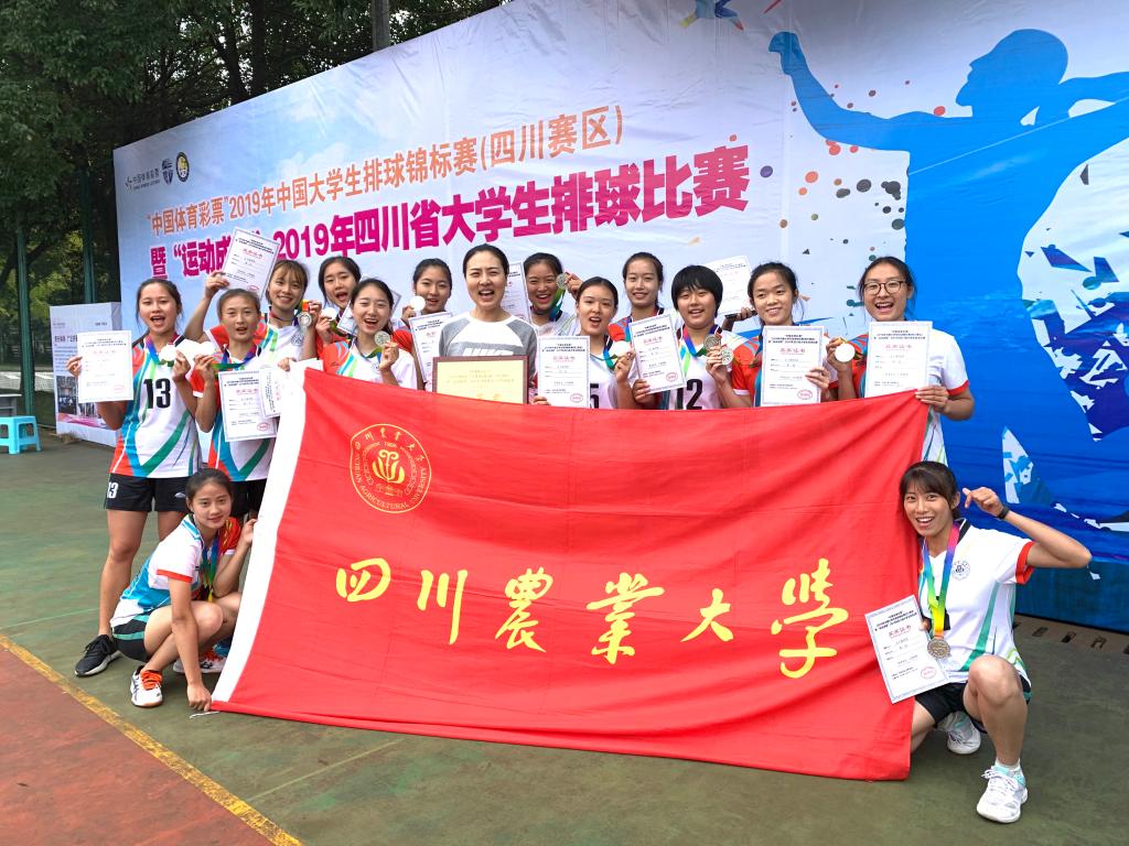 看球吧官方线路
