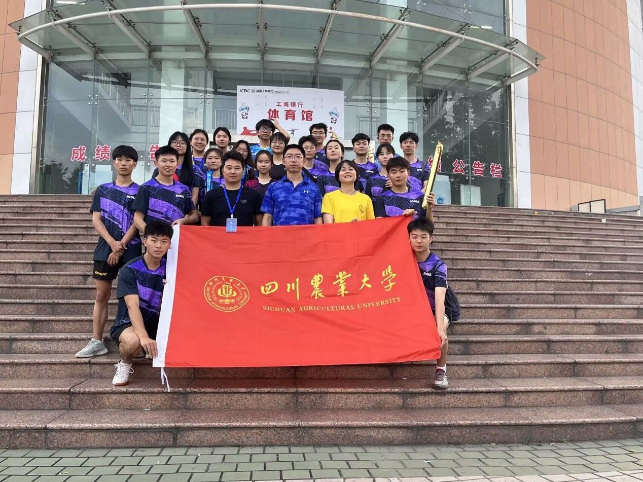 看球吧核心通道