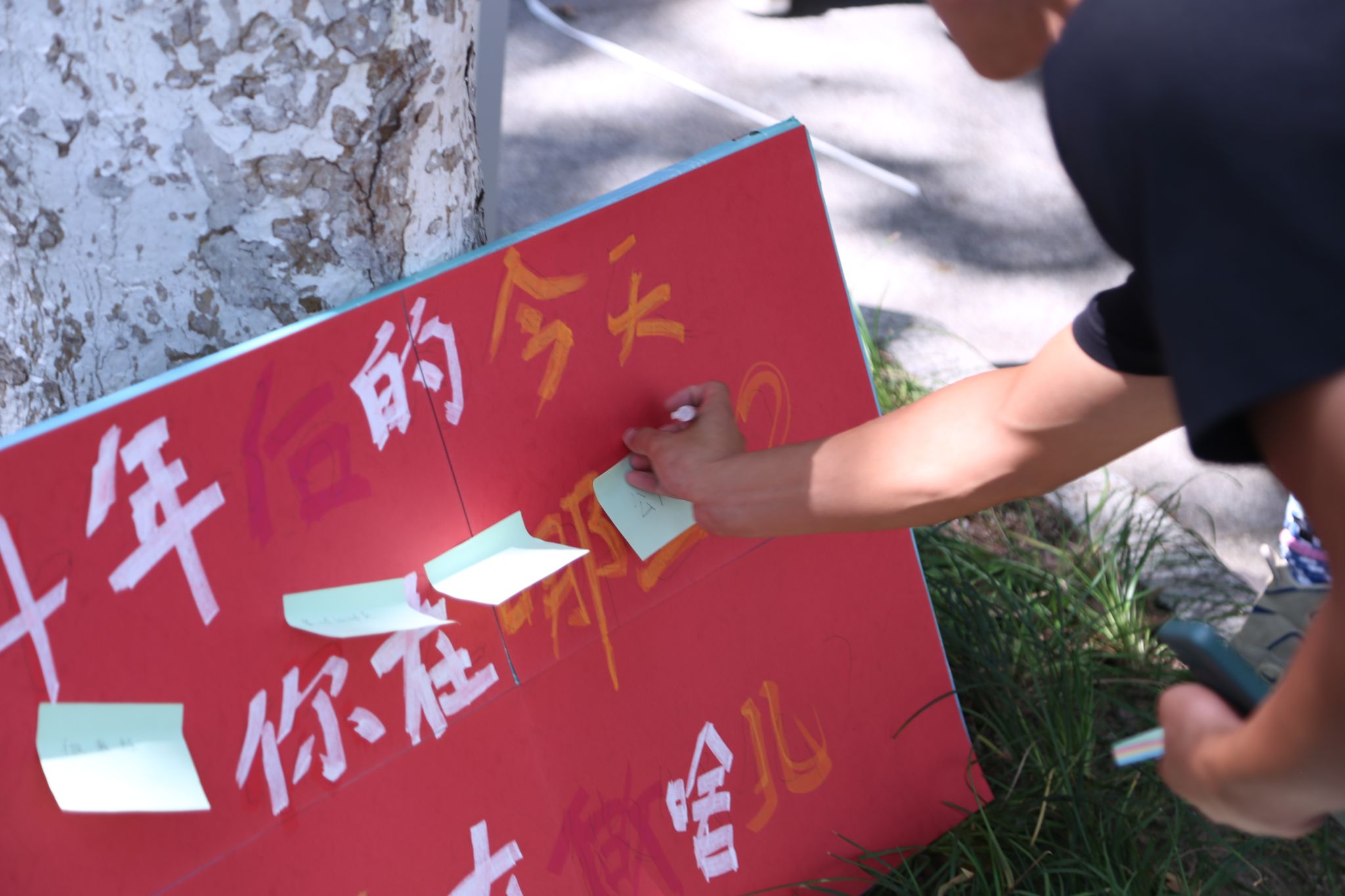 看球吧官方指定端