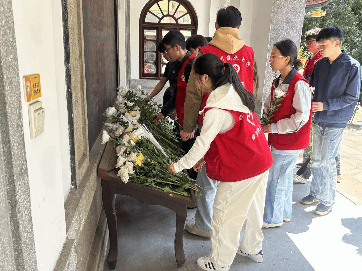 看球吧加速节点
