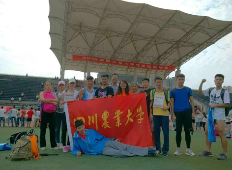 看球吧核心通道图片