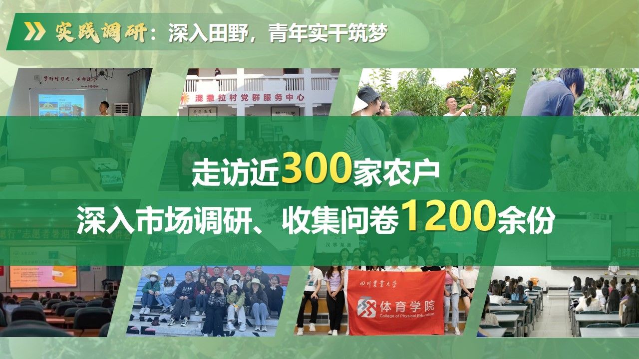 看球吧指定通道