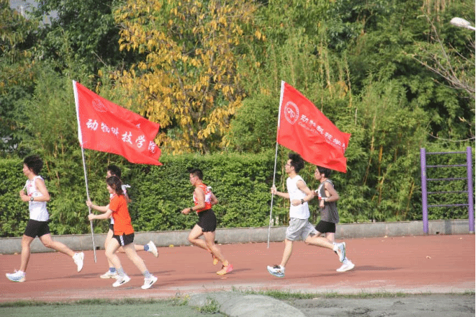 看球吧加速节点