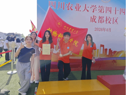 看球吧核心通道