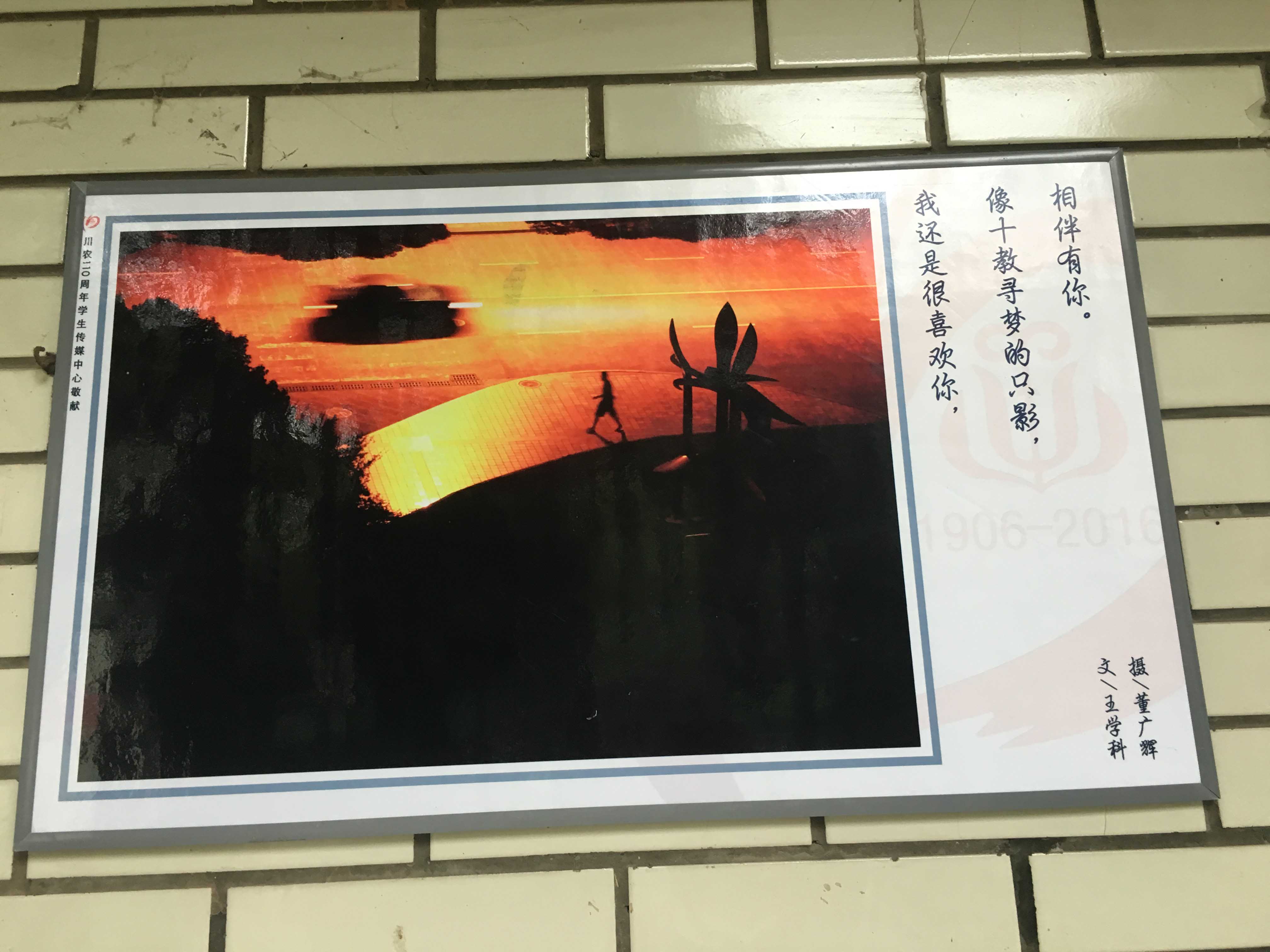 看球吧超级联赛图片