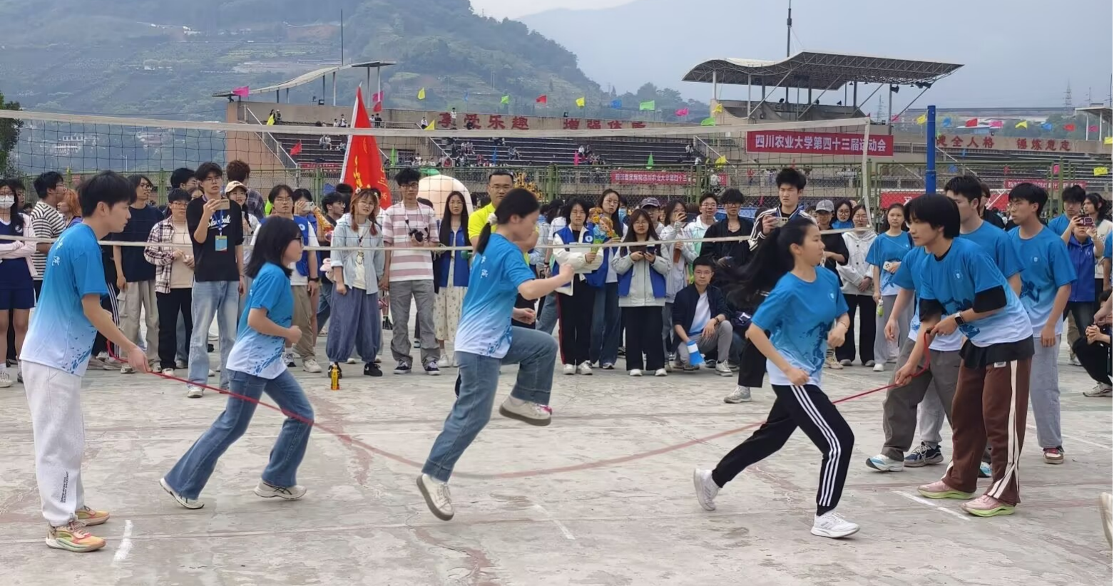 看球吧指定通道