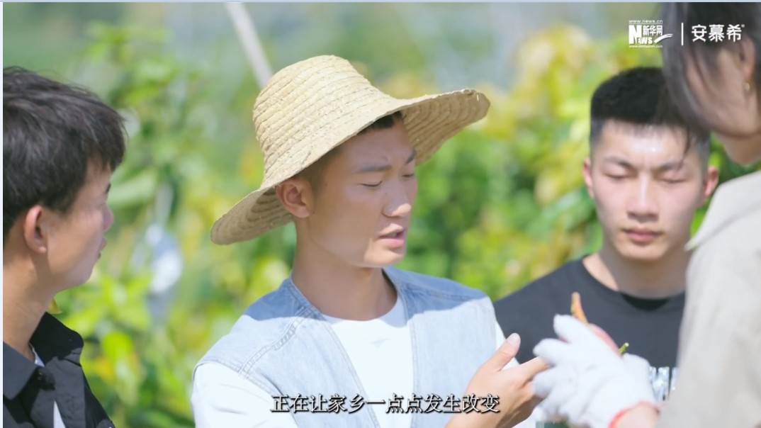 看球吧欧洲杯