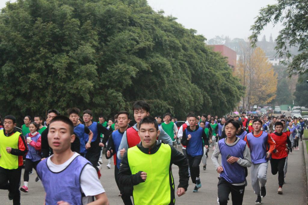 看球吧官方线路