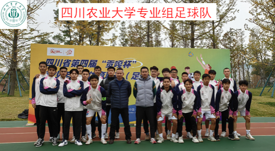 看球吧加速节点