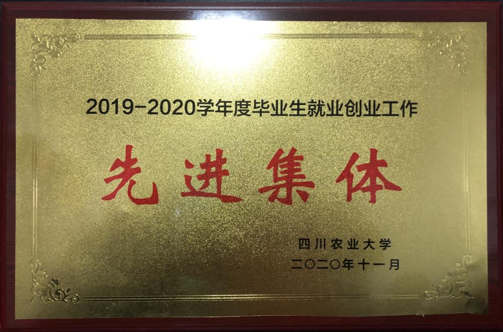 看球吧指定通道图片