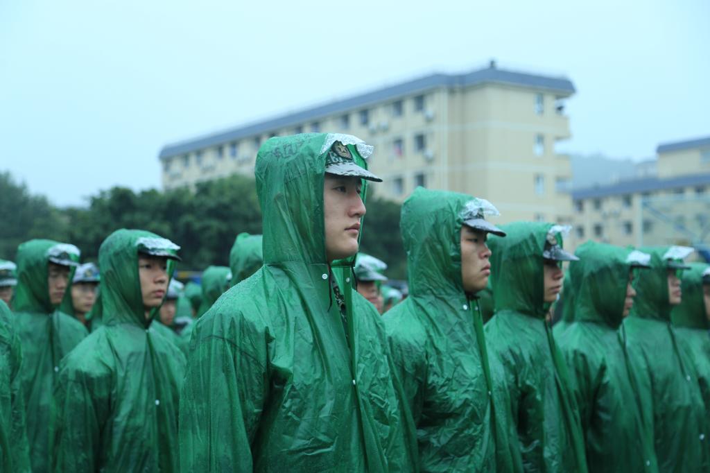 看球吧手机版