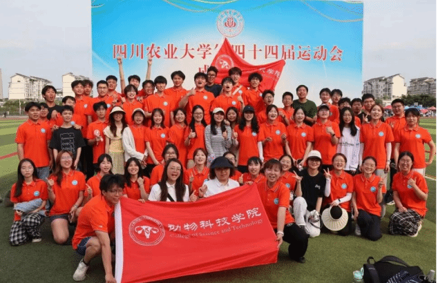 看球吧官方线路