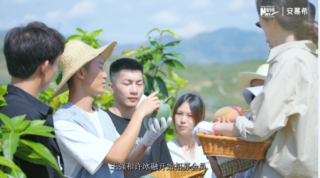 看球吧备用网址