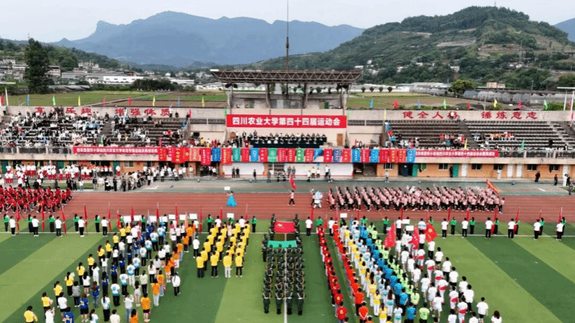 看球吧安全通道