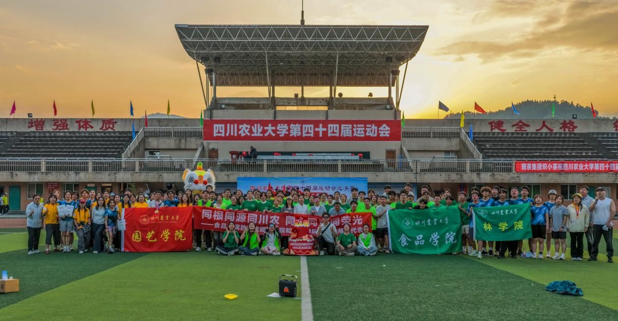 看球吧加速节点