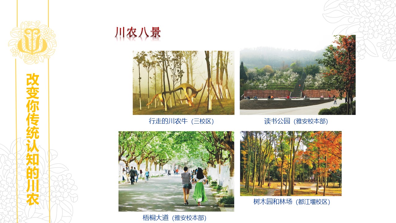 看球吧备用网址