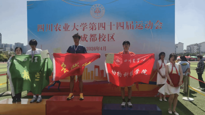看球吧安全通道