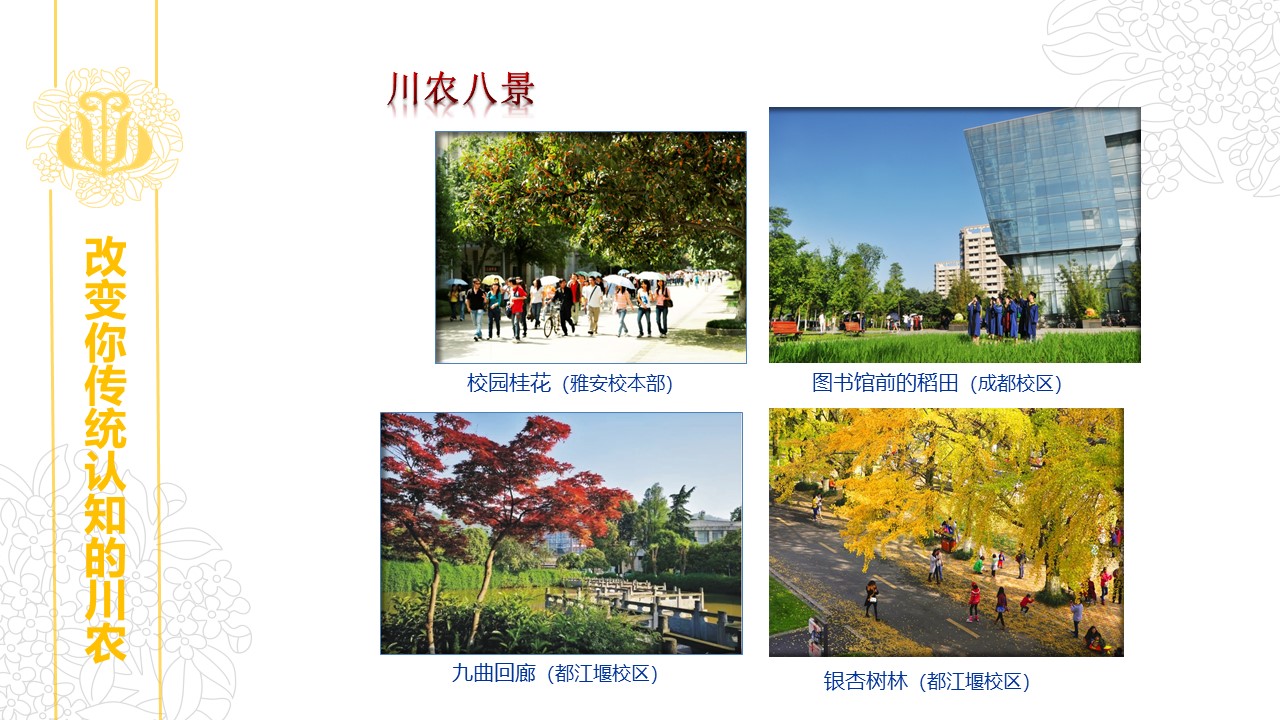 看球吧欧冠直播