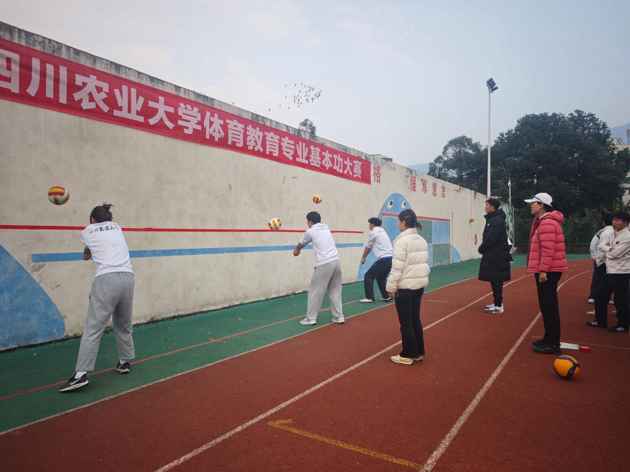 看球吧指定通道